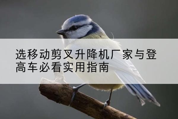 从化电动升降机厂家-选移动剪叉升降机厂家与登高车必看实用指南