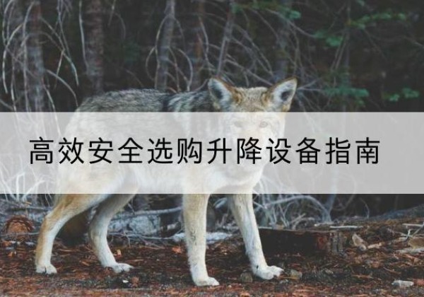 从化升降货梯厂家推荐-*安全选购升降设备指南