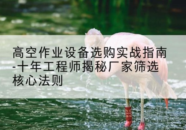 从化剪叉式升降机厂家-高空作业设备选购实战指南-十年工程师揭秘厂家筛选核心法则